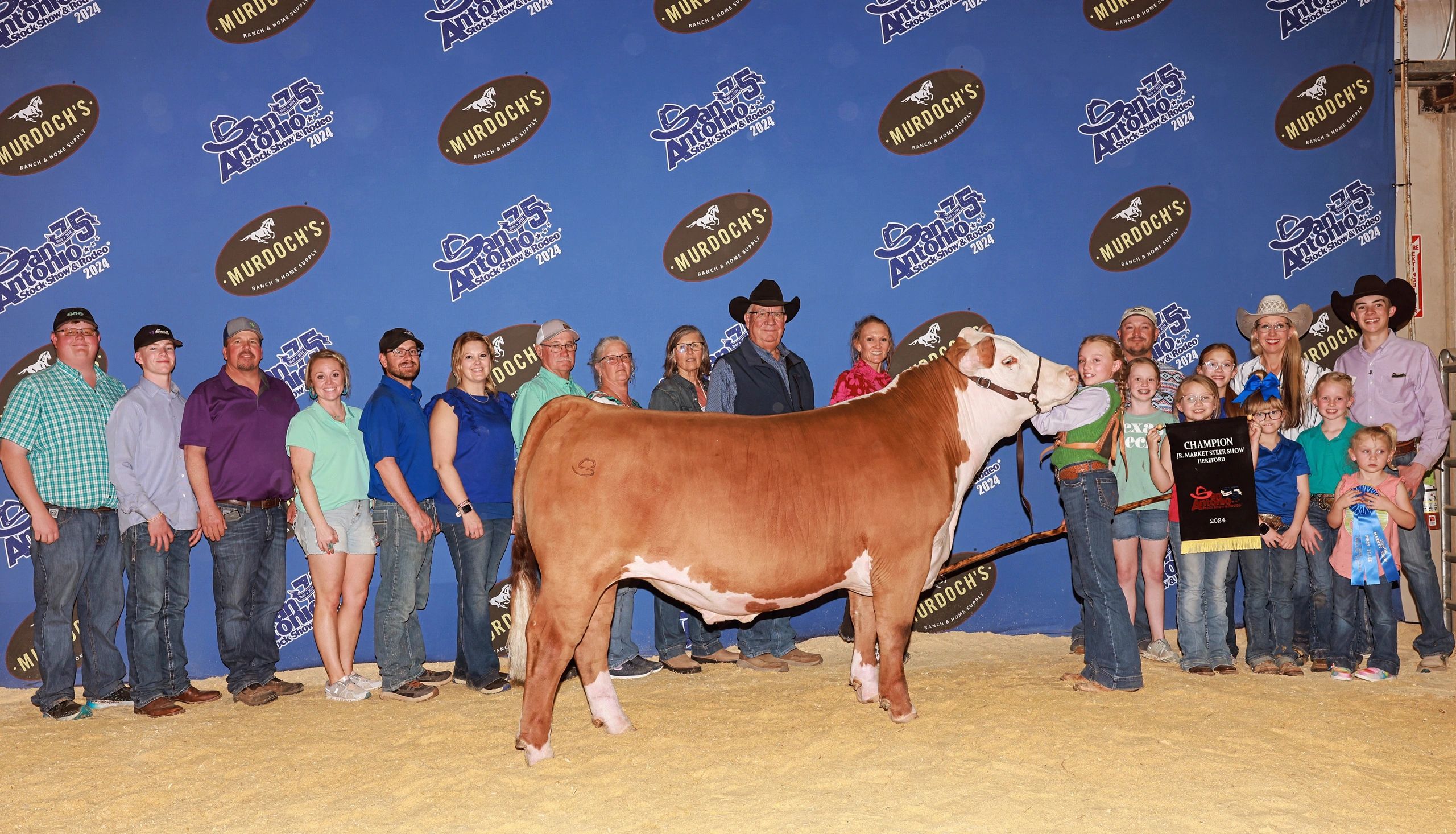 Steers, Cattle, Livestock Dealer Yates Herefords Lubbock, Texas