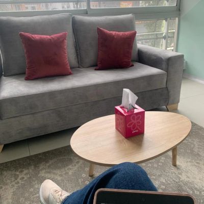 Sala moderna con sofá gris y cojines rojos.