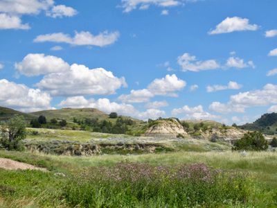 Theodore Roosevelt National Park