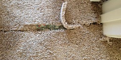 Don't replace your carpet when it can be repaired.  