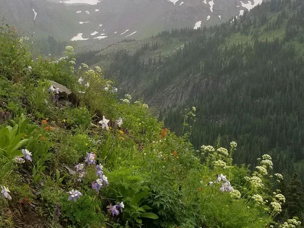 jeep tour yankee boy basin