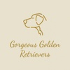 Gorgeous Goldens & Fab Frenchies