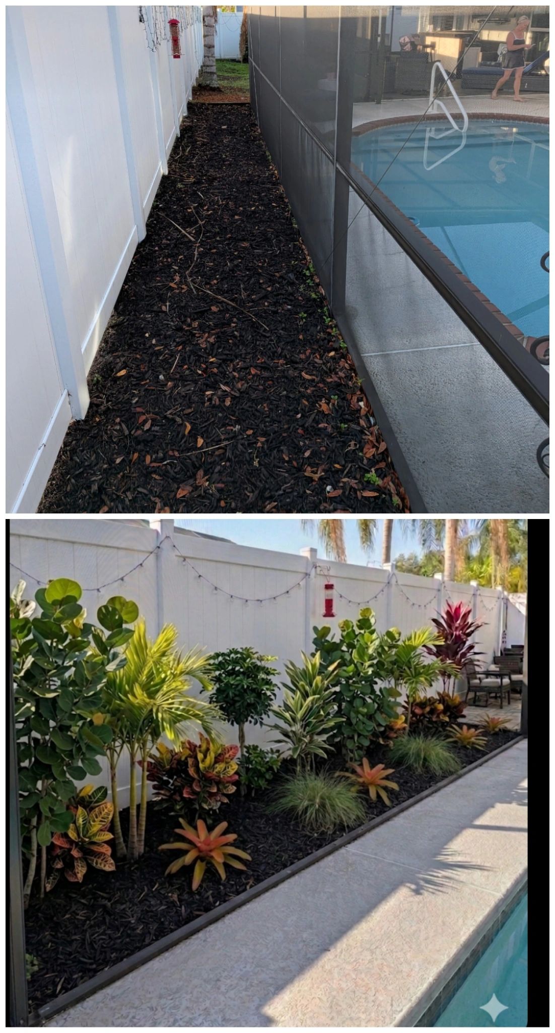 Before and after landscaping transformation with lush plants by a poolside.