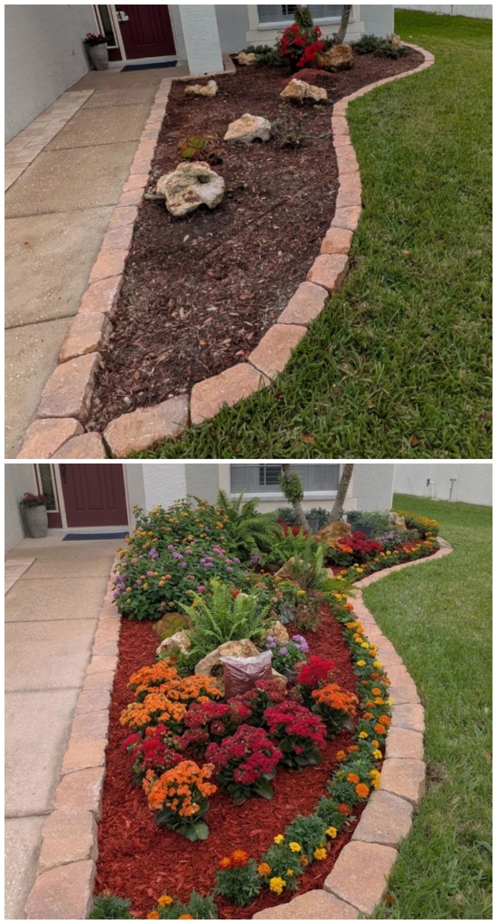 Front yard garden transformation with vibrant flowers and fresh mulch.