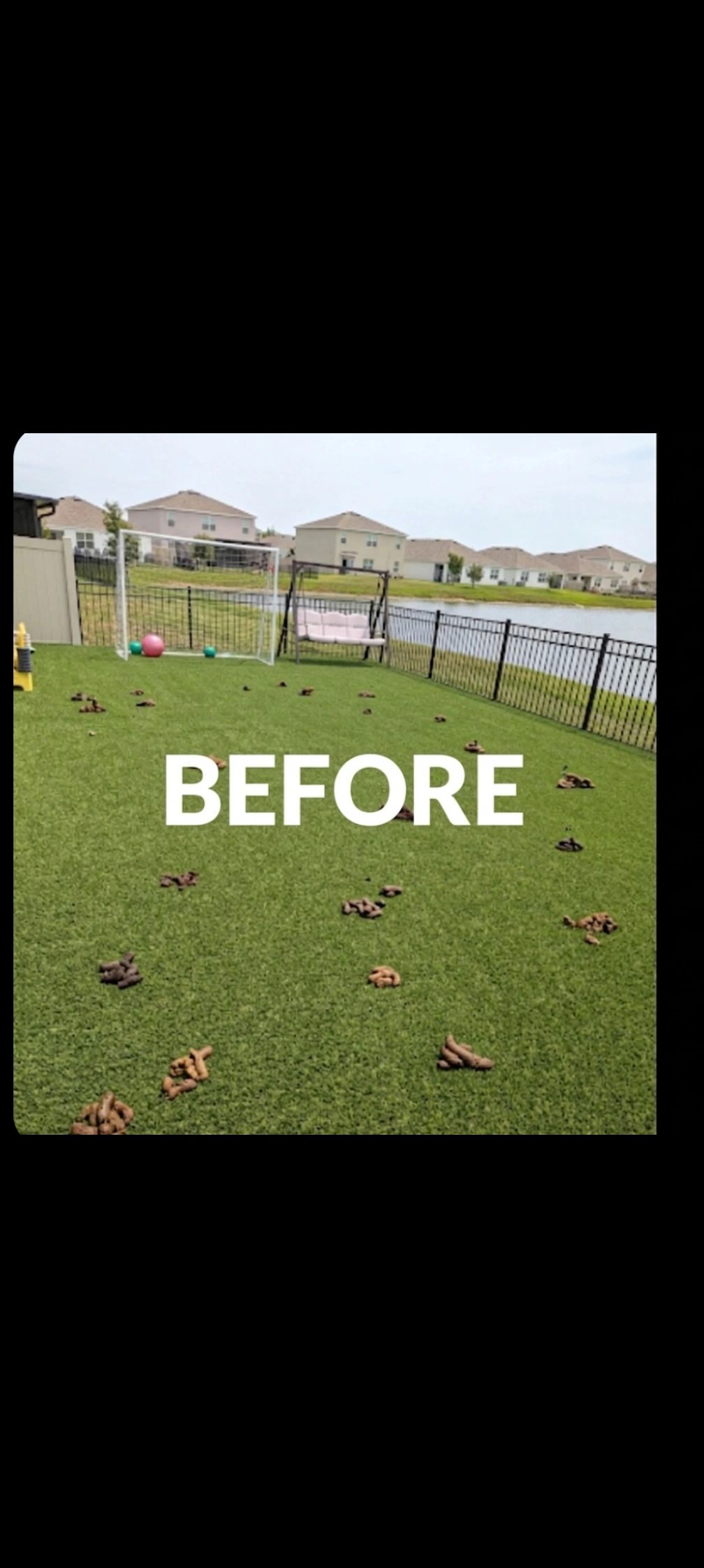 Backyard covered in dog poop with 'BEFORE' text.