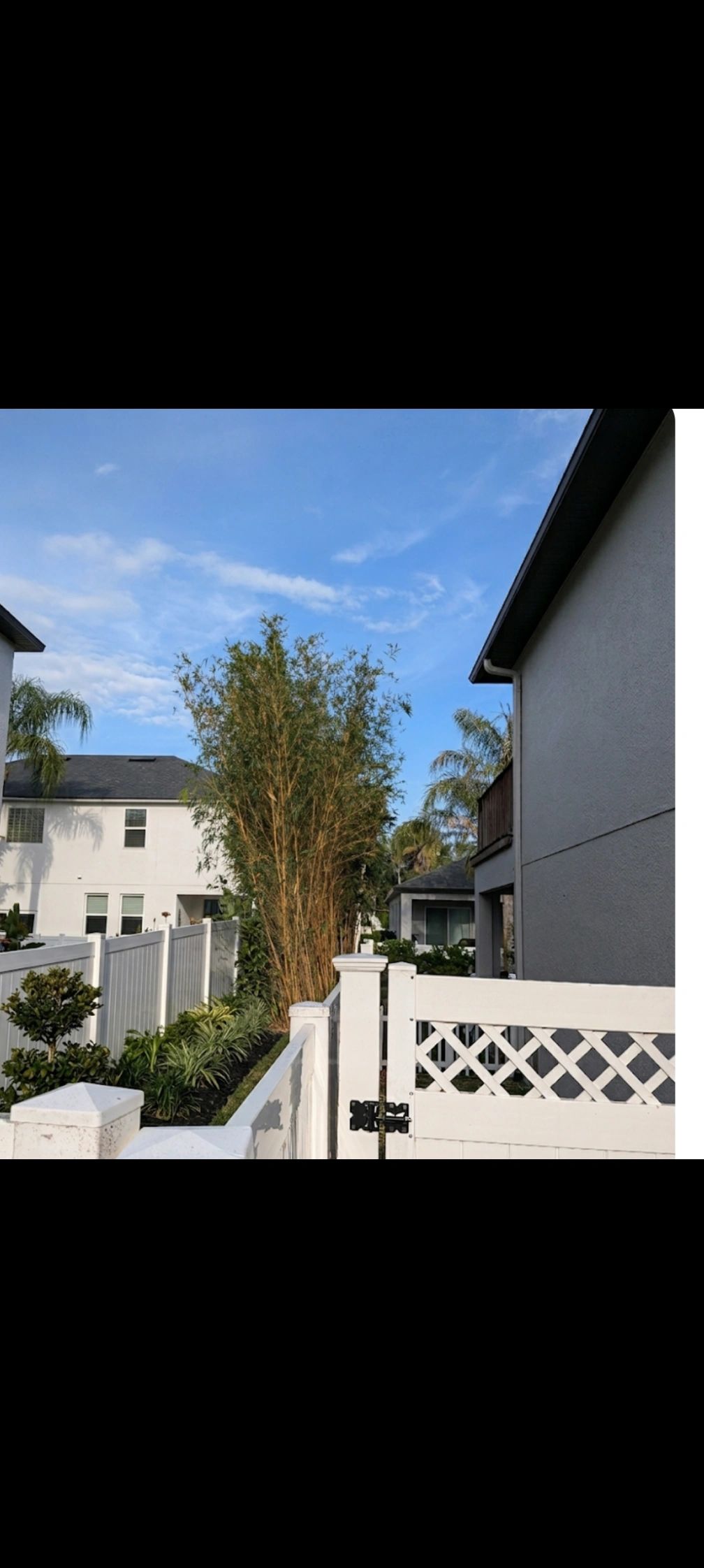 Residential backyard with white fence and plants.