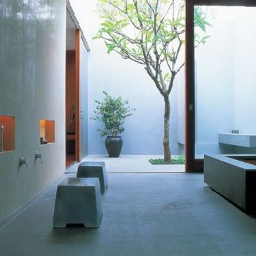 Minimalist bathroom with natural light and indoor plants.