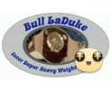 Bull LaDuke The Man