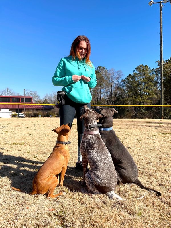 Professional Dog Trainer for Obedience and Behavioral Modification Training