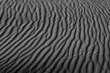 indigenous aboriginal videographer photographer wayne quilliam drone photography and video drone pho
