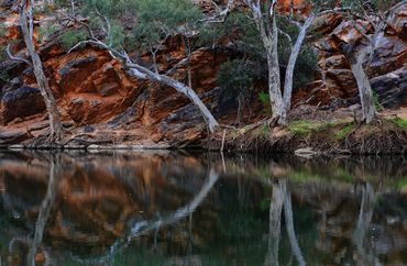 photographic image of australian billabong by wayne quilliam