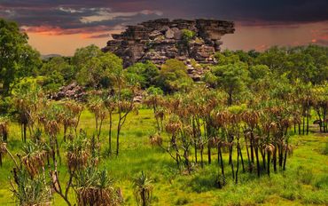 photographic image of australian billabong by wayne quilliam
