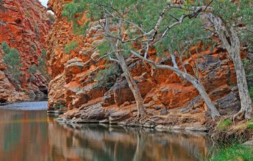 photographic image of australian billabong by wayne quilliam