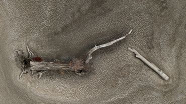 indigenous aboriginal videographer photographer wayne quilliam drone photography and video