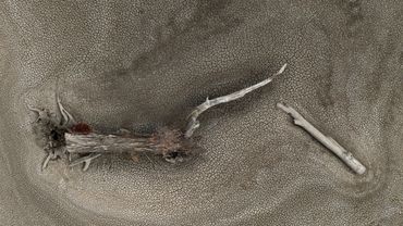 indigenous aboriginal videographer photographer wayne quilliam drone photography and video