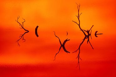 indigenous aboriginal videographer photographer wayne quilliam drone photography and video