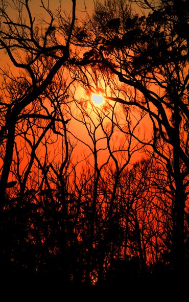 landscape photography wayne quilliam