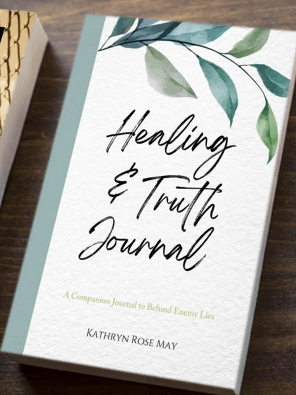Behind Enemy Lies and Healing and Truth Journal 