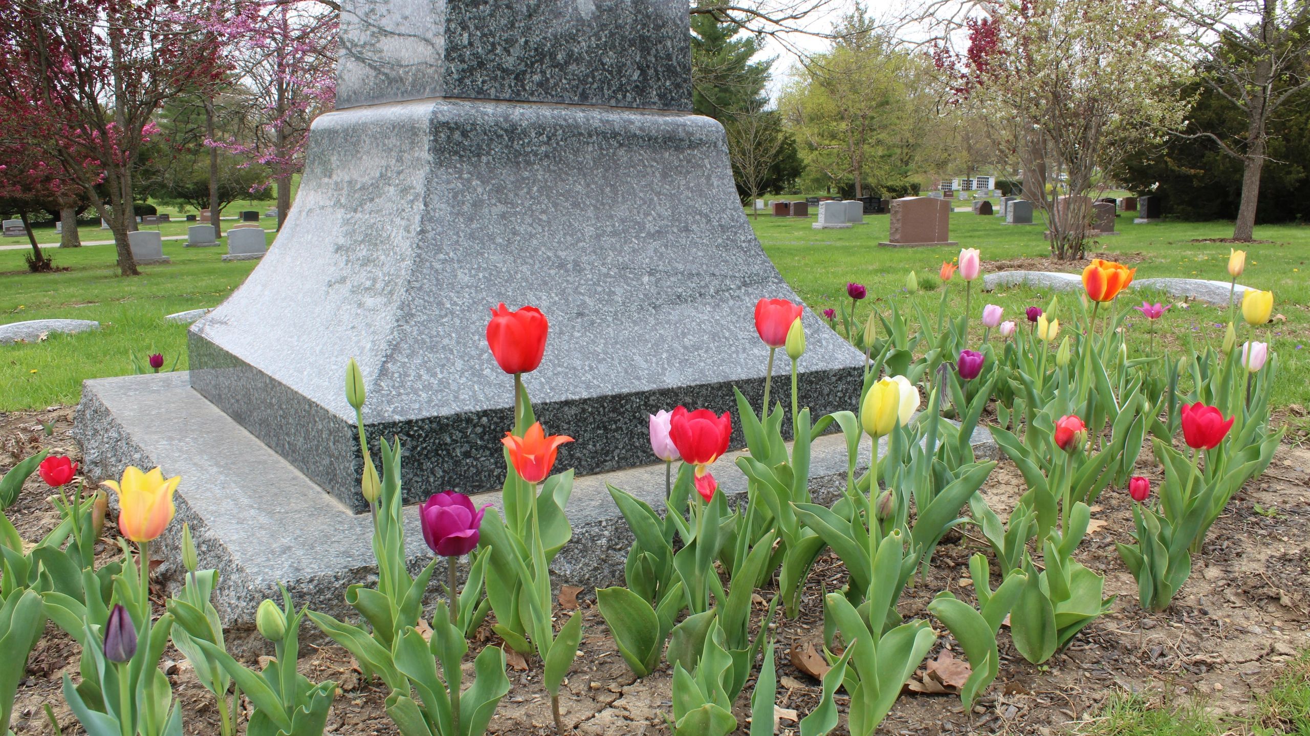 Plants for Butterflies, Bees, and Hummingbirds in Your Cemetery
