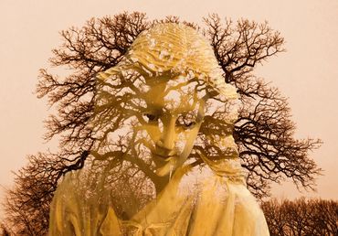 art of woman's face superimposed on an oak tree