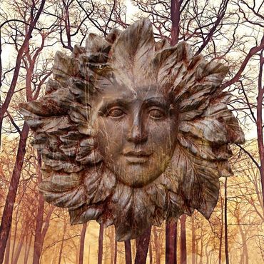 face with fall oak trees