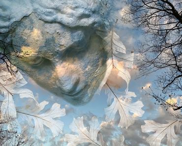 face in blue sky with oak leaves