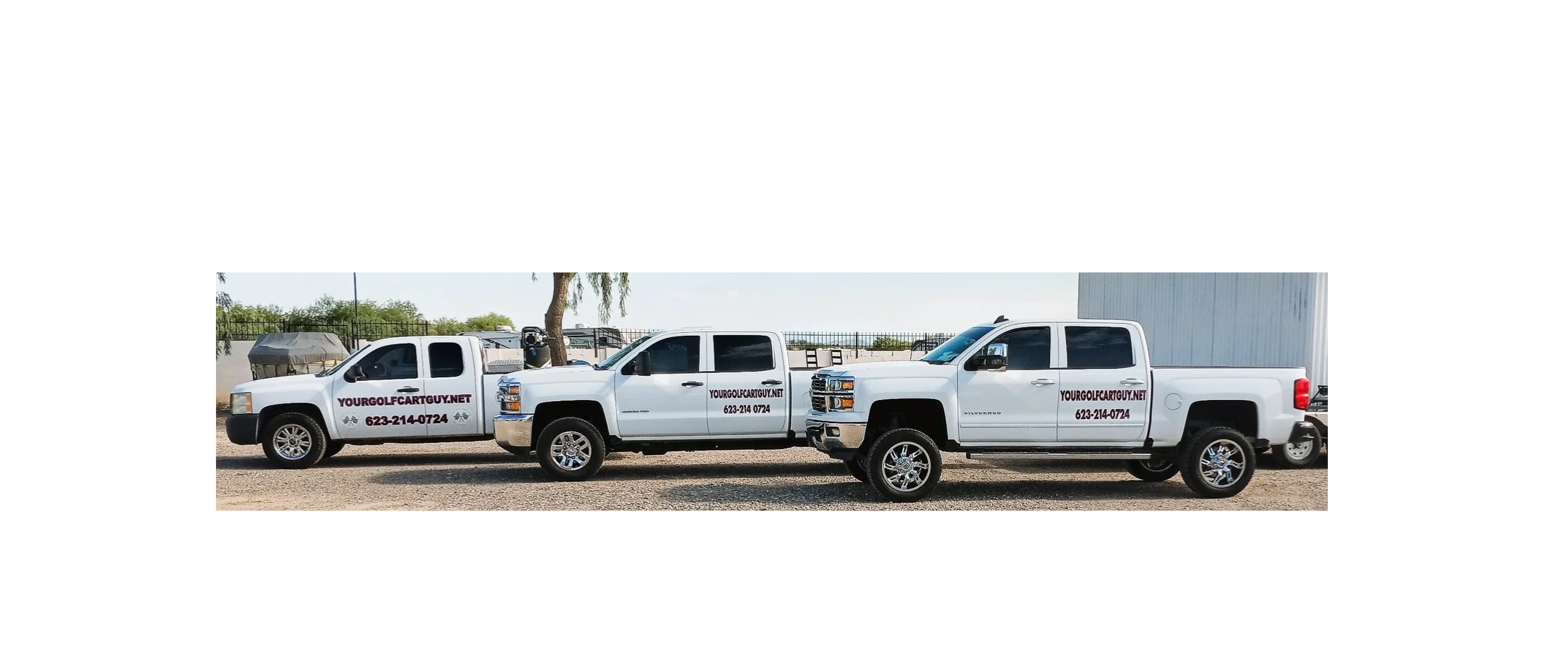 Call Today Your Golf Cart Guy LLC call-today-your-golf-cart-guy-llc