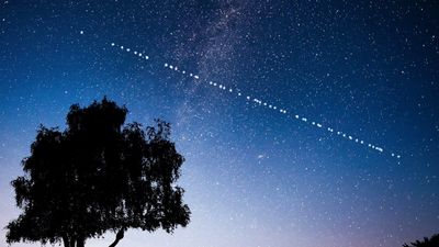 Starry night sky with a silhouetted tree and a dotted line of lights crossing the sky.