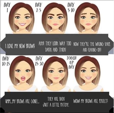 Brow Healing Stages
