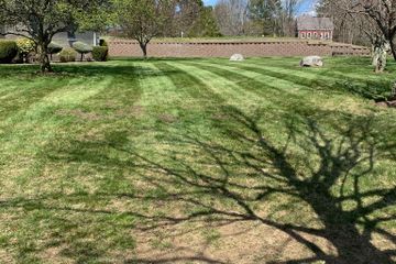 dethatching aerating