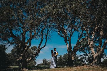 beautiful photos of a couple on the park