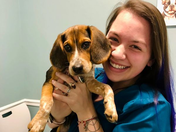 Smiling woman holding a cute beagle puppy indoors.