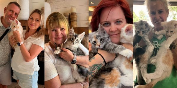 Four people holding kittens and smiling.