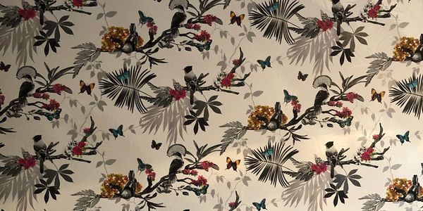 Wallpaper feature wall