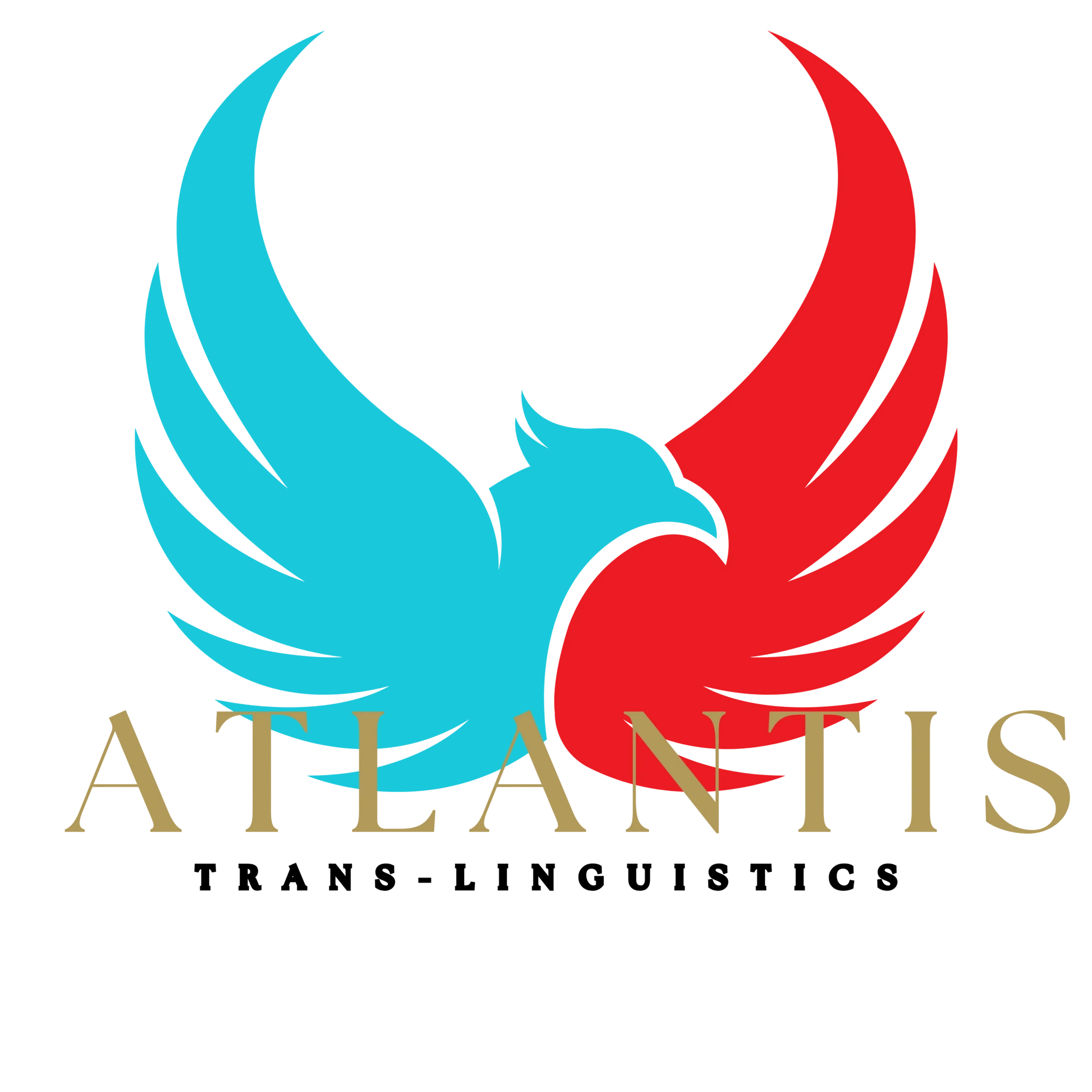 Unlock the Power of Trans Linguistics with Trans Linda: Revolutionizing Language Understanding