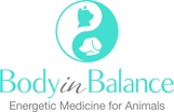 Body In Balance: 
Energetic Medicine for Animals