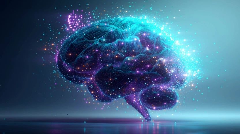 https://img1.wsimg.com/isteam/ip/a96c280e-6431-4bc0-9bfd-032aa2e972a9/thumbnails/thumbnail-df743442-b728-41ca-988c-f4276f555bed.png