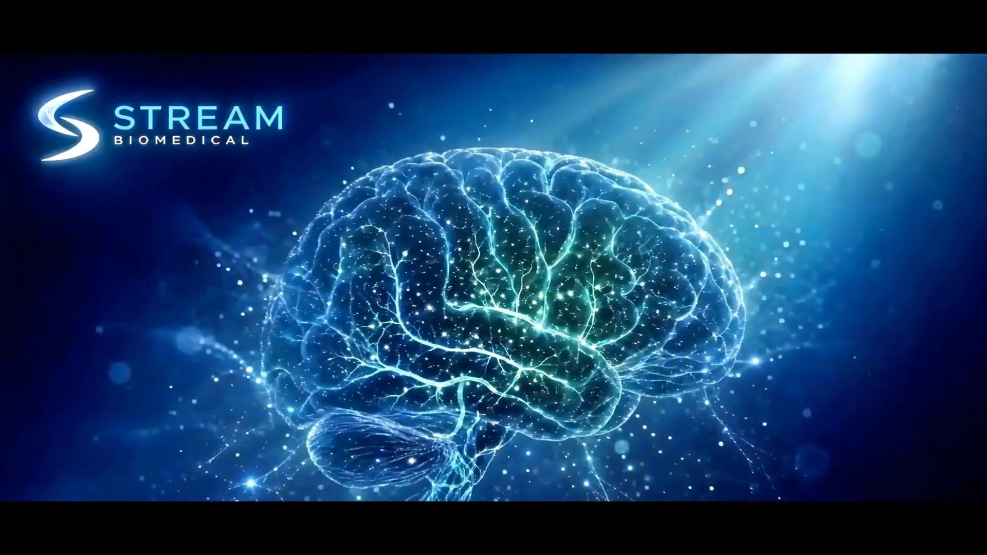 https://img1.wsimg.com/isteam/ip/a96c280e-6431-4bc0-9bfd-032aa2e972a9/thumbnails/thumbnail-ec0ba663-ad09-4340-b67a-a987ea6e4dca.png