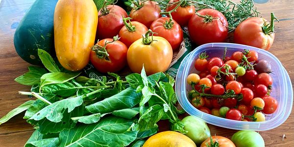 Fresh assorted tomatoes, greens, and squash on a wooden surface.