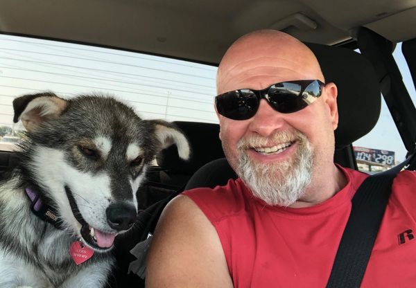 Smiling man wearing sunglasses with a happy dog in a car.