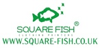 Square Fish