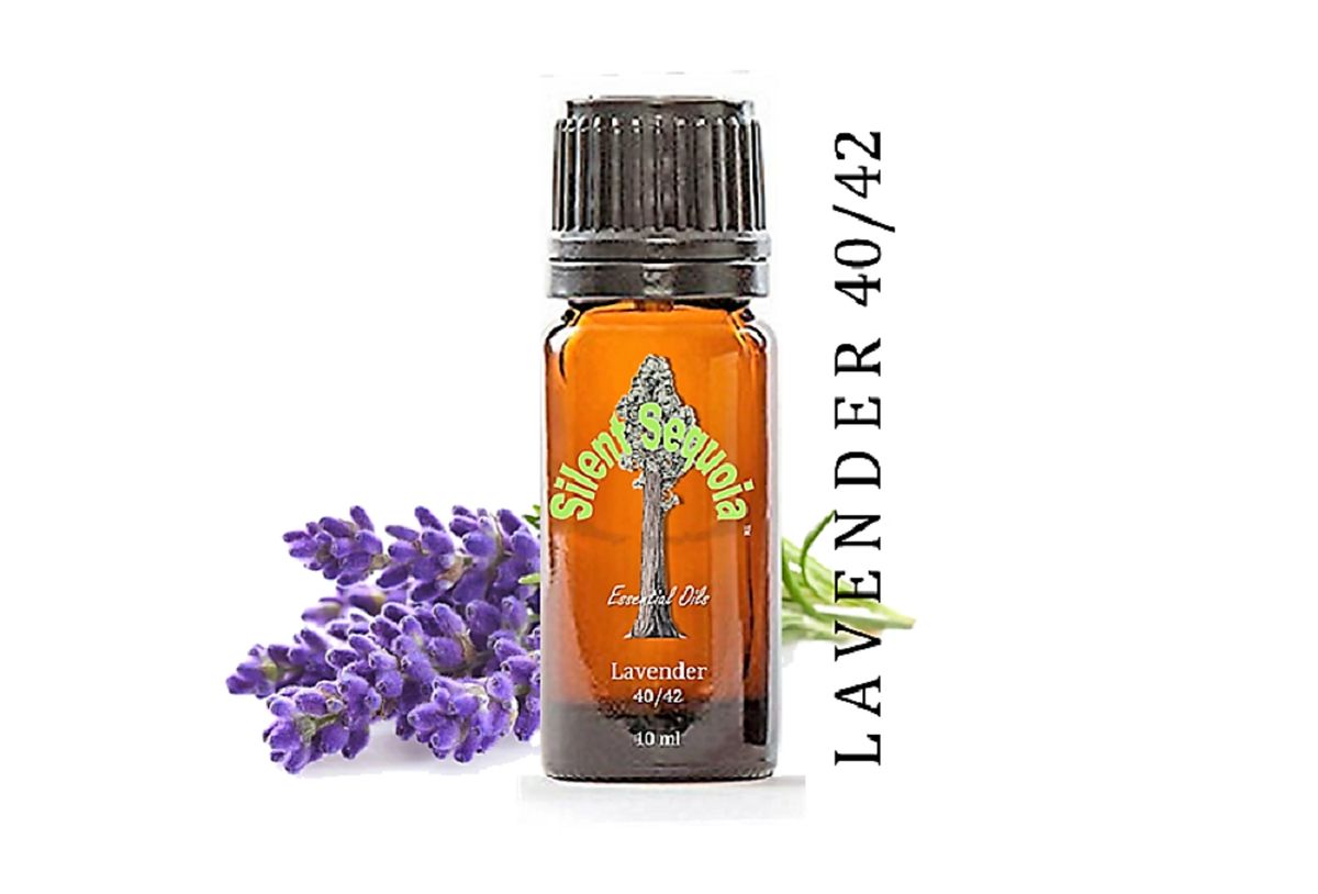 Lavender 40/42 (Standardized) Essential Oil (10 ml)
