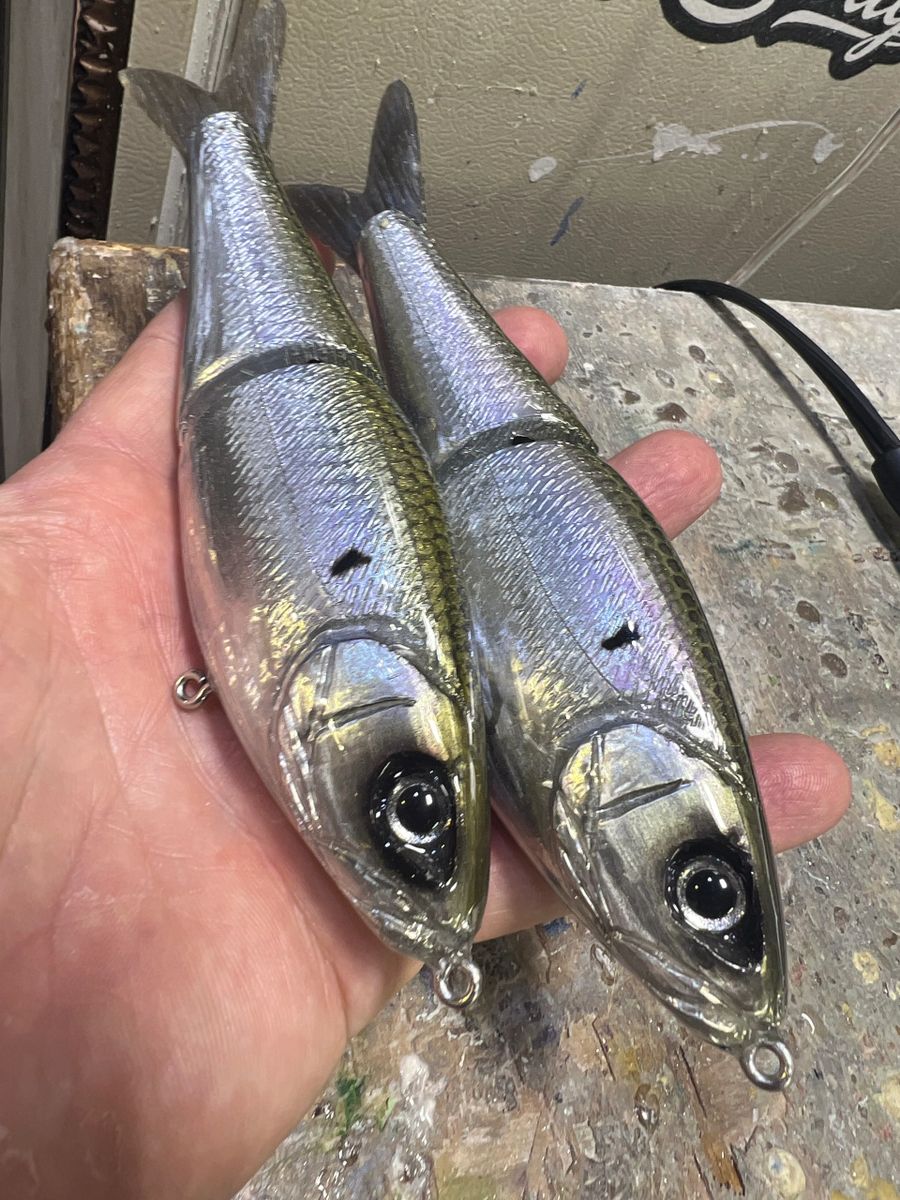 Tater Hog Father Jr "Foiled Blueback Herring"
