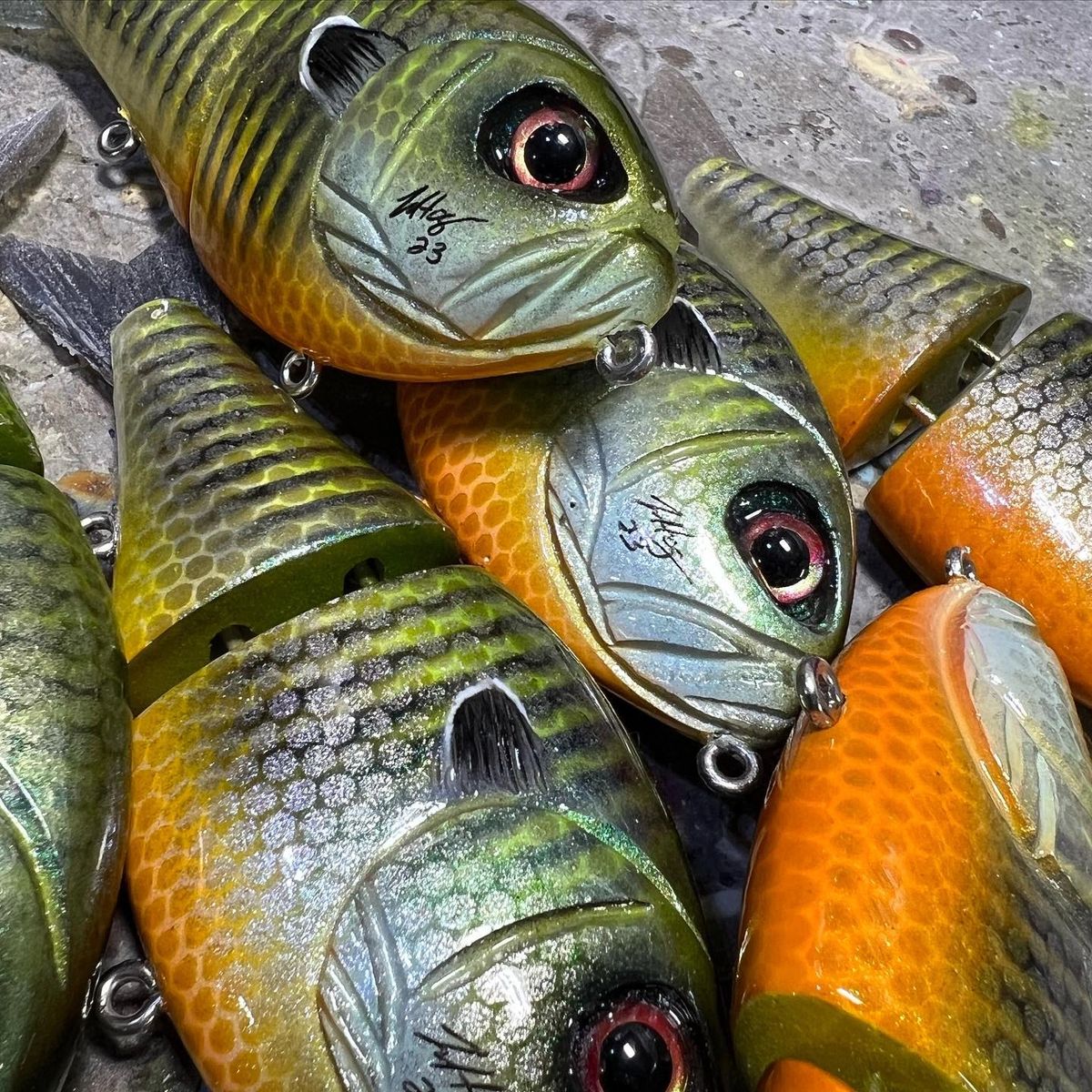 Angry Gill Jr Floating Greenback Gill