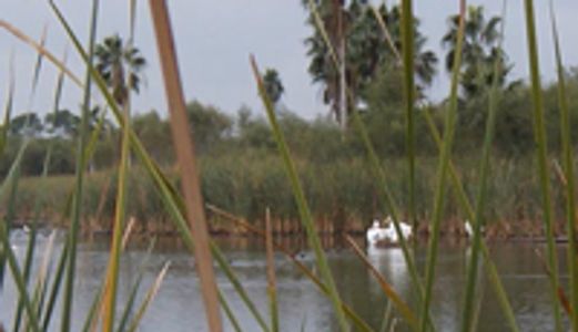 View of the lake at Los Ebanos Preserve