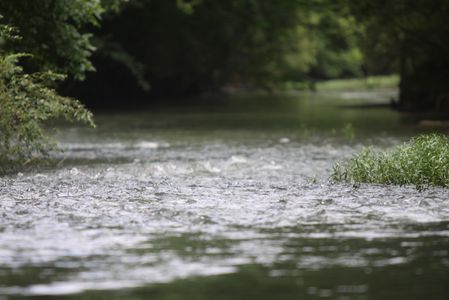 ~Big Canoe Creek~
Springville, Alabama
Meg Hays Photography 