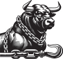 Taurus Towing LLC