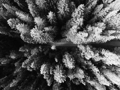 Photo credit: geranimo - unsplash