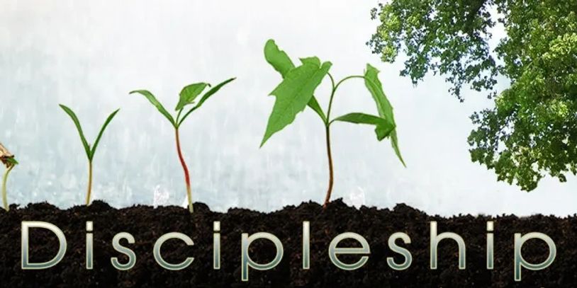 Growing plants symbolize discipleship and spiritual growth.