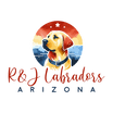 R&J Labradors